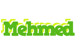 Mehmed picnic logo