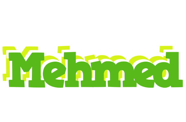Mehmed picnic logo