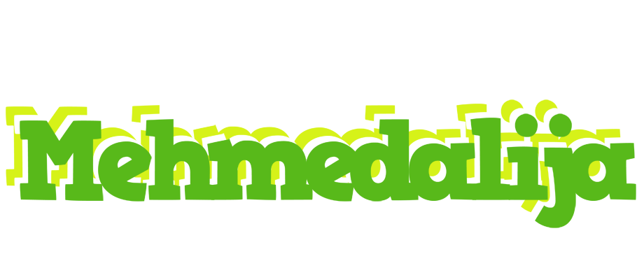 Mehmedalija picnic logo