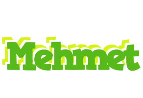 Mehmet picnic logo