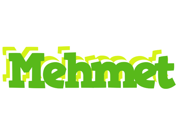 Mehmet picnic logo