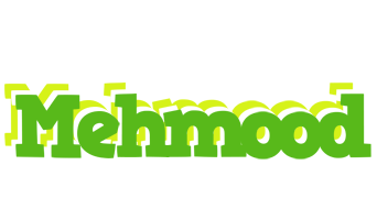 Mehmood picnic logo