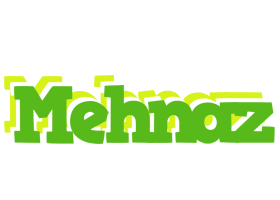 Mehnaz picnic logo