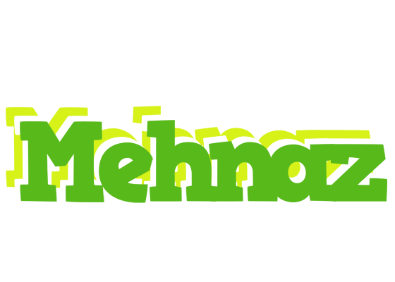 Mehnaz picnic logo