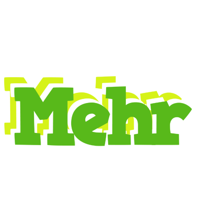 Mehr picnic logo