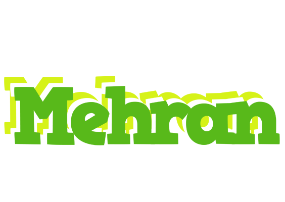 Mehran picnic logo