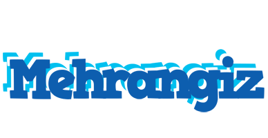 Mehrangiz business logo