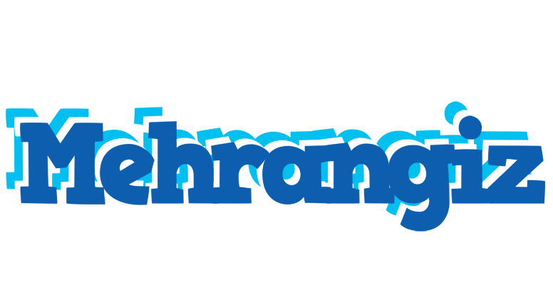 Mehrangiz business logo