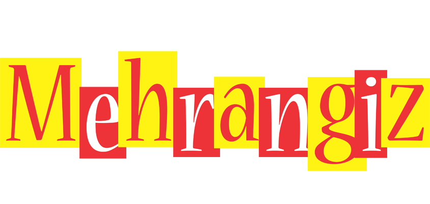 Mehrangiz errors logo