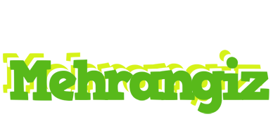 Mehrangiz picnic logo