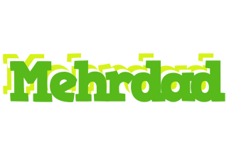 Mehrdad picnic logo