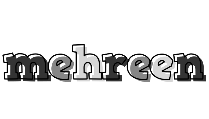 Mehreen night logo