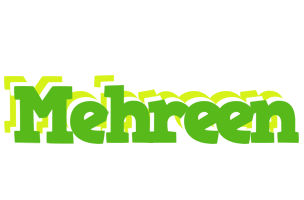 Mehreen picnic logo