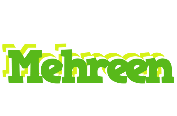 Mehreen picnic logo