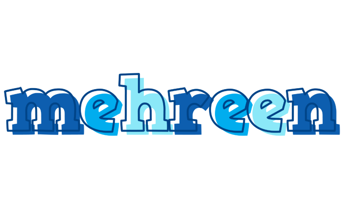 Mehreen sailor logo