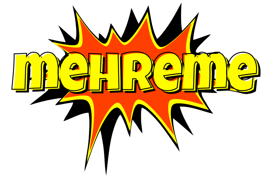 Mehreme bazinga logo