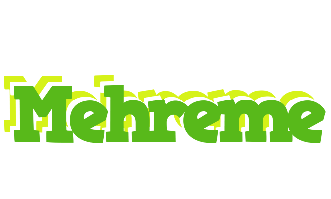 Mehreme picnic logo