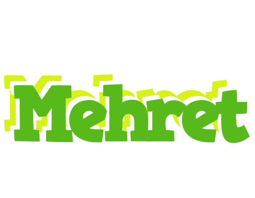 Mehret picnic logo