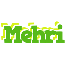 Mehri picnic logo