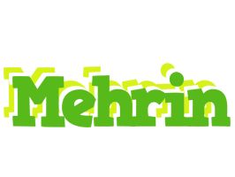 Mehrin picnic logo