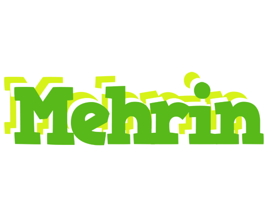 Mehrin picnic logo