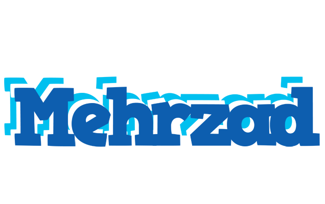 Mehrzad business logo