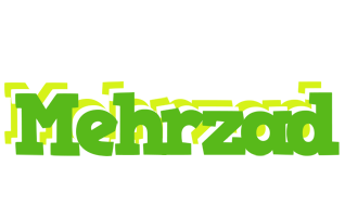 Mehrzad picnic logo