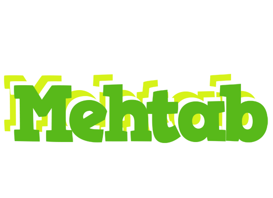 Mehtab picnic logo