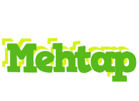 Mehtap picnic logo