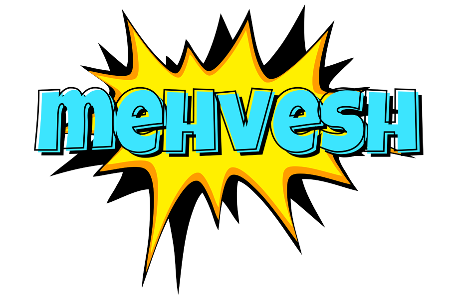 Mehvesh indycar logo