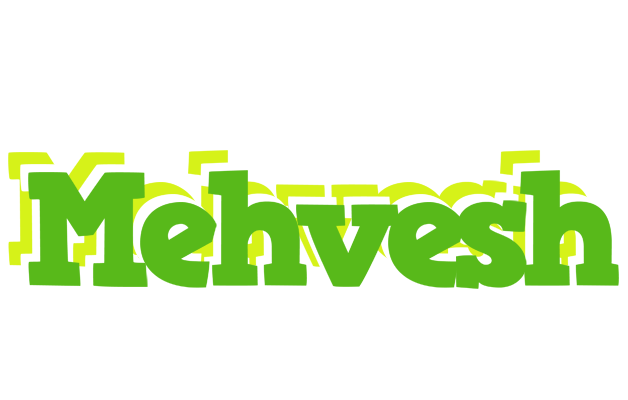 Mehvesh picnic logo