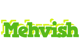 Mehvish picnic logo