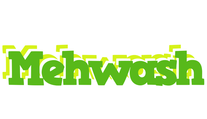 Mehwash picnic logo