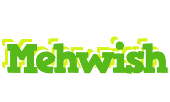 Mehwish picnic logo