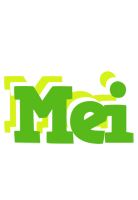 Mei picnic logo