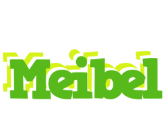 Meibel picnic logo