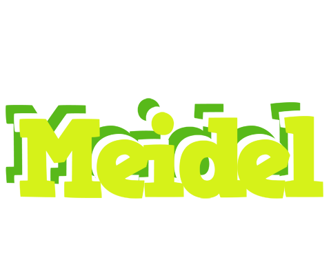 Meidel citrus logo