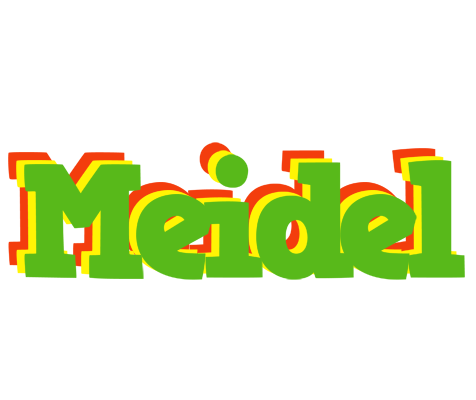 Meidel crocodile logo