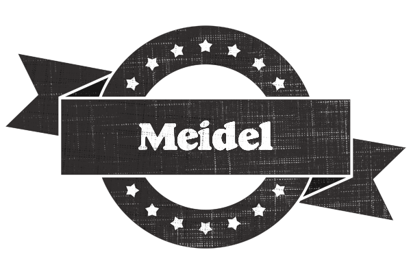 Meidel grunge logo