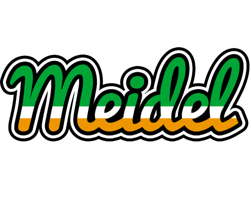 Meidel ireland logo