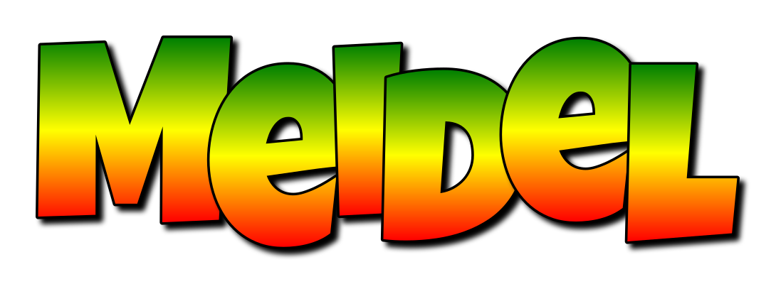 Meidel mango logo
