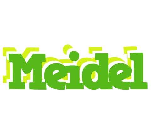 Meidel picnic logo