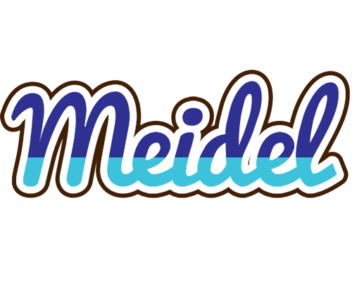 Meidel raining logo