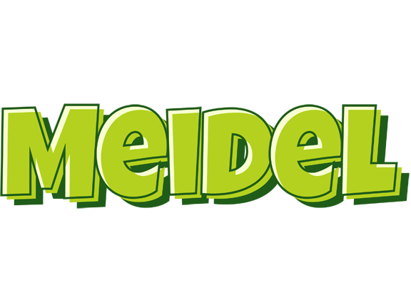 Meidel summer logo