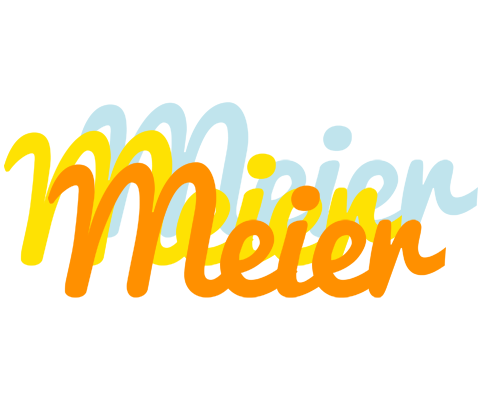 Meier energy logo