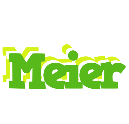 Meier picnic logo
