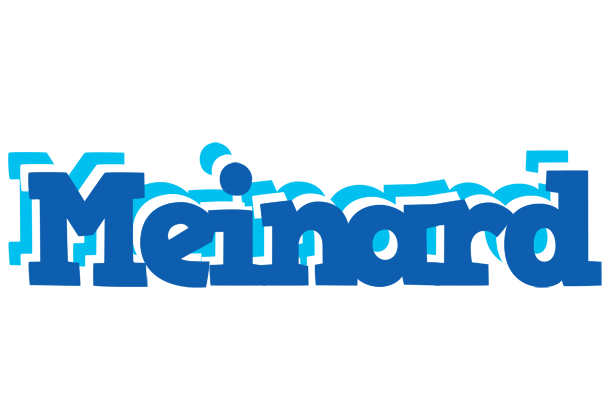 Meinard business logo