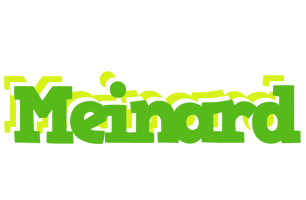 Meinard picnic logo