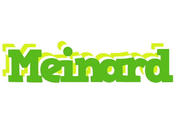 Meinard picnic logo