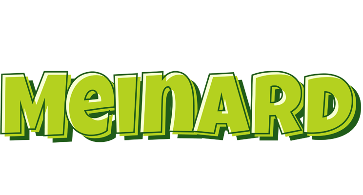 Meinard summer logo
